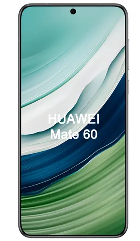 Huawei Mate 60
