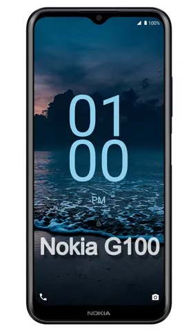 Nokia G100