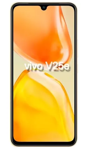 Vivo V25e