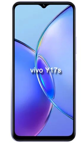 Vivo Y17s
