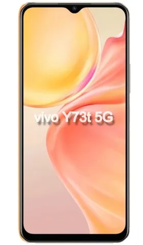 Vivo Y73t
